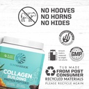 sunwarrior-vegan-collagen-building-powde-61qN7iqyAiL.jpg