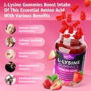 2-pack-l-lysine-1000mg-gummies-for-immun-71FJfjsnlML.jpg