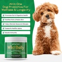 dog-probiotics-for-digestive-health---pr-3.jpg