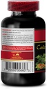 calcium-and-magnesium-supplement-for-wom-4.jpg