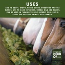 alfalfa-leaf-cut-sifted-by-herb-co-medic-71Y8OYGSvuL.jpg