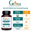 alfalfa-usda-organic-1200-mg-per-serving-81mTeYSkiZL.jpg