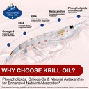 antarctic-krill-oil-supplement-rich-in-o-71Om1JrLhVL.jpg