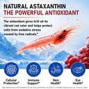 antarctic-krill-oil-2000mg-120-softgels--81+PzQVTBmL.jpg