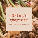 nature-s-way-ginger-root-capsules-1-100--91XfubsTwIL.jpg