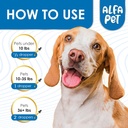 dog-cough-treatment-liquid-kennel-cough--4.jpg