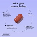 hk-vitals-glucosamine-chondroitin-msm-90-71DdG628QFL.jpg