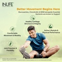 inlife-glucosamine-chondroitin-msm-colla-81roncd9ukL.jpg