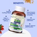 fytika-flexi-move-60-tablets-pack-of-1-g-71DXt0lyjqL.jpg