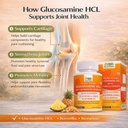 pronutrition-double-strength-glucosamine-71ERBhoUNQL.jpg