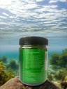 botanical-bliss-spirulina-powder-natural-61XrwAN6e6L.jpg