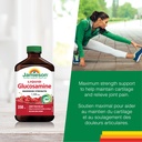 jamieson-liquid-glucosamine-1-500-mg-max-81FIXepl4WL.jpg