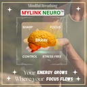 mylink-neuro-with-brahmi-ginkgo-biloba-a-71zGh0OnXYL.jpg