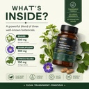 brahmi-500-mg-shankhpushpi-300-mg-ginkgo-71YwzAG5StL.jpg