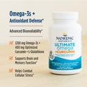 nordic-naturals-omega-curcumin-supplemen-61C+oTif-RL.jpg
