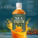 hypefit-sea-buckthorn-500ml-pack-of-1-se-81kuF8km2oL.jpg
