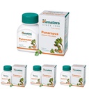 himalaya-punarnava-tablets-60-count-pack-61TnON3pa4L.jpg