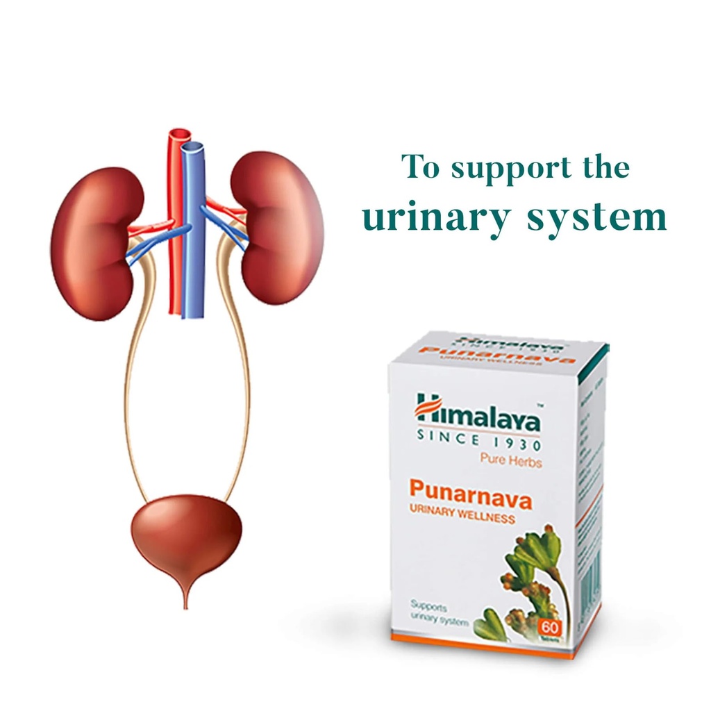 himalaya-punarnava-tablets-60-count-pack-61eSNDRjVmL.jpg
