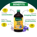 baidyanath-shankhpushpi-syrup-450ml-200m-61r16si9zyL.jpg
