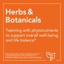 now-foods-nettle-root-extract-250mg-90-v-6109UNrRbeL.jpg