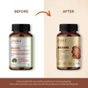 jiva-brahmi-tablets-500mg-ayurvedic-form-61xtVgdfBFL.jpg