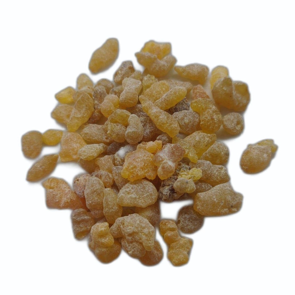 kunjika-jadibooti-gond-kondru-shallaki-g-61H+PGQ+YFL.jpg