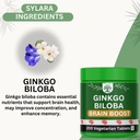 sylara-brain-booster-supplement-with-gin-61GOY8rltlL.jpg