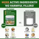 probiotics-for-dogs---digestive-health-g-4.jpg
