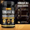 2-pack-tongkat-ali-fadogia-agrestis-for--2.jpg