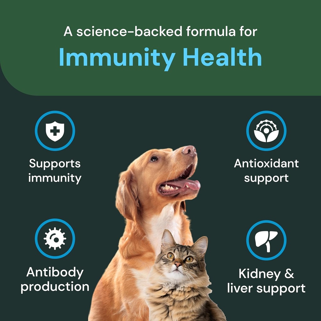 vetriscience-veterinary-strength-dmg-imm-4.jpg