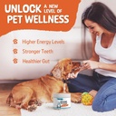100-bovine-colostrum-for-dogs-cats-aller-4.jpg