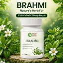 pure-nutrition-brahmi-tablets-brahmi-sup-81jhxBfClCL.jpg