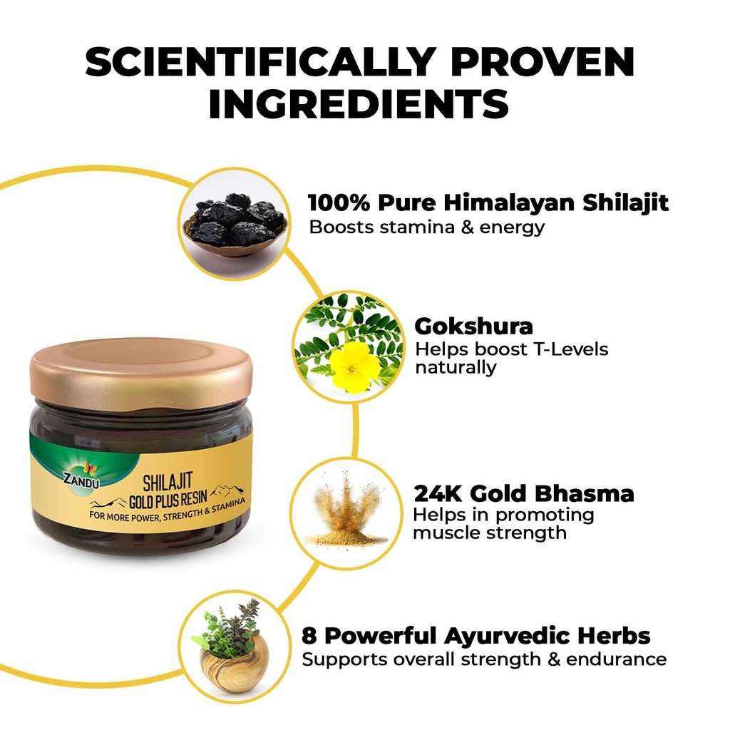 zandu-shilajit-resin-pure-himalayan-70-f-71-bzR80YrL.jpg