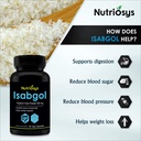 nutriosys-isabgol-500mg-supplement-suppo-819MK9e5pUL.jpg