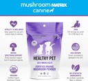 om-mushroom-matrix-pet---canine-healthy--3.jpg