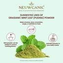 organic-mint-leaf-pudina-200g-pure-menth-61dJXhFNpHL.jpg
