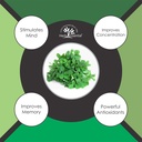 herb-essential-pure-brahmi-powder-50-g-719SI8rdSFL.jpg