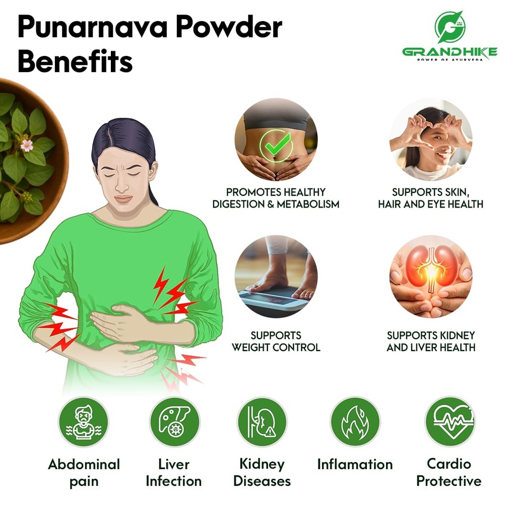 grandhike-organic-punarnava-powder-churn-61VsX99TugL.jpg
