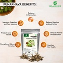 grandhike-organic-punarnava-powder-churn-61rYYzR7+QL.jpg