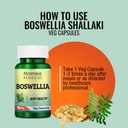 morpheme-remedies-boswellia-shallaki-500-61xVm-EZbSL.jpg
