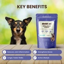 absolut-pet-hip-joint-chews-for-dogs-glu-61JKhtR+iPL.jpg