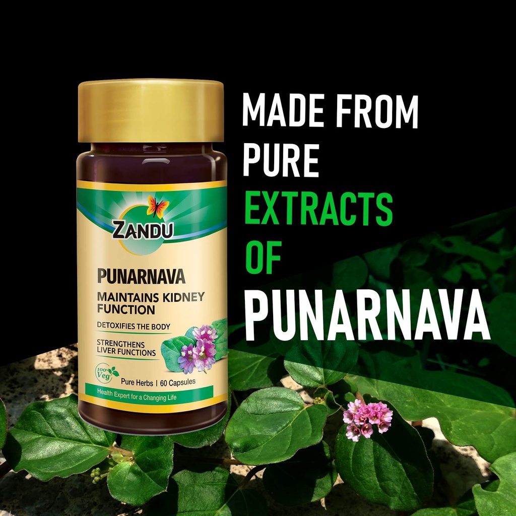 zandu-punarnava-capsules-with-goodness-o-71fKOcBP9fL.jpg