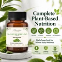 algapure-spirulina-tablets-60-tablets-71LjX66bdDL.jpg