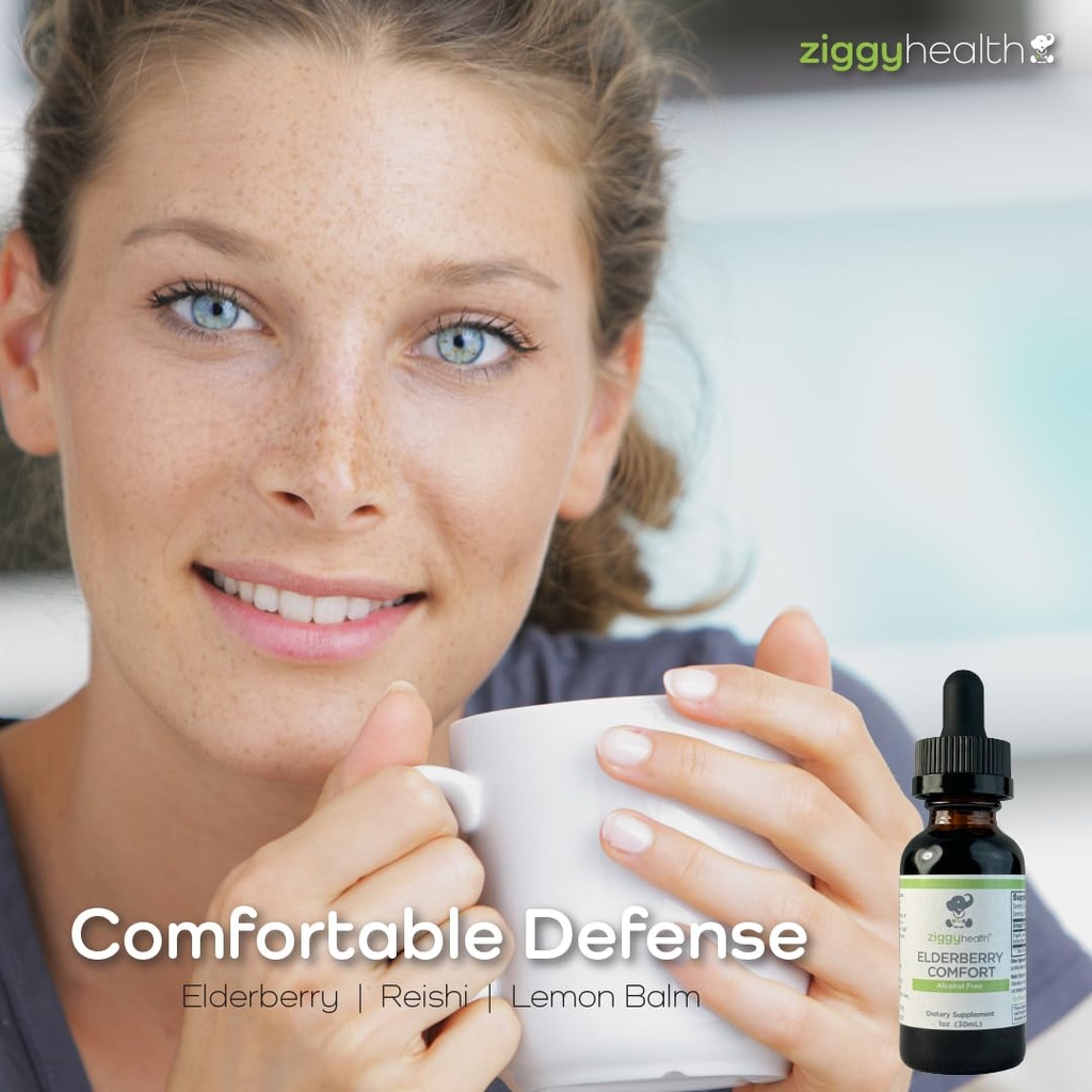 organic-elderberry-tincture-elderberry-e-61ddP2q5cCL.jpg
