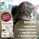 homeopet-feline-kidney-rescue-supplement-813yVr73nhL.jpg