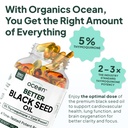 organics-ocean-better-black-seed-oil-col-71I0lwM9N3L.jpg