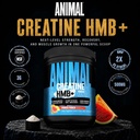 animal-creatine-monohydrate-hmb-for-men--811+IX4+naL.jpg