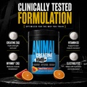 animal-creatine-monohydrate-hmb-for-men--71cCupRzKxL.jpg