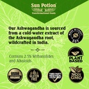 sun-potion-ashwagandha-root-extract-powd-71UG10vAS-L.jpg