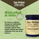 sun-potion-ashwagandha-root-extract-powd-71O7QqvJGFL.jpg